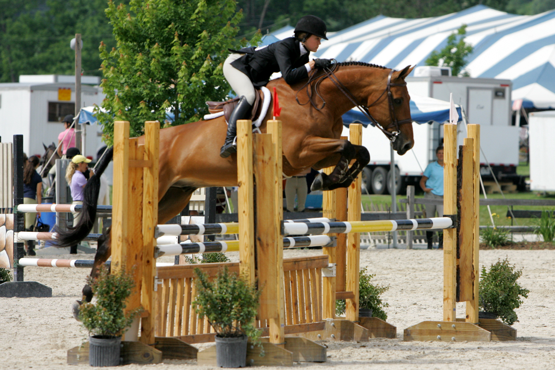 WorldClass Equitation at Vermont Summer Festival